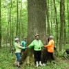 6-osób-obejmuje-pień-dębu-Zygmunt-August