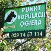 Atrakacja we wsi Laskowizna