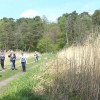 Piesi wracają