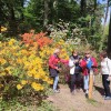 Arboretum w Rogowie