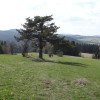 W drodze do Mrokowców