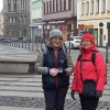 W Libercu